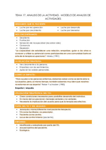 TEMA-17.pdf