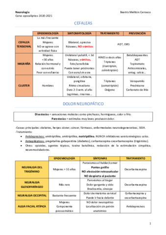 Esquema-neuro.pdf