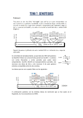 problemas-T7.pdf