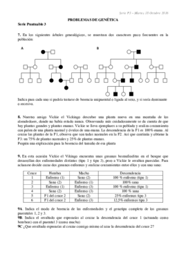 serie P3 16-17 corregida.pdf