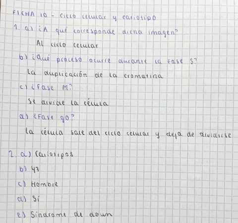 ficha-10-ciclo-celular-y-cariotipo.png
