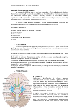 TEMA 6 OK.pdf