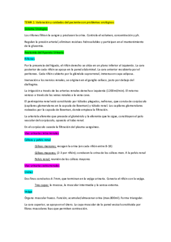 resumen-TODO-urologia.pdf