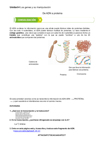 De-ADN-a-proteinas.pdf