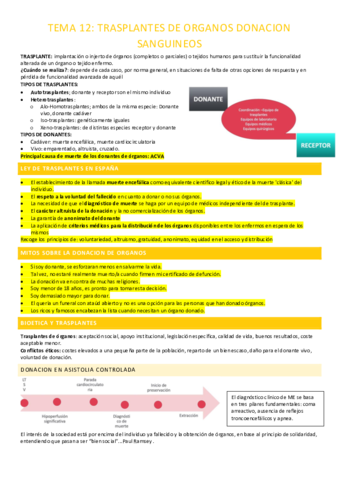 TEMA-12-COMPLETO.pdf