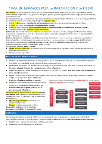 TEMA-19-completo.pdf