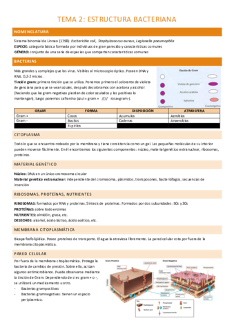 TEMA-2-COMPLETO.pdf