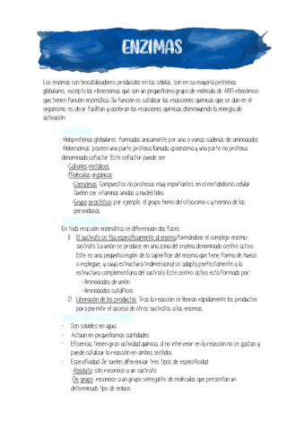 ENZIMAS.pdf