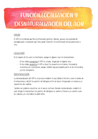 FUNCION-Y-LOCALIZACION-ADN.pdf