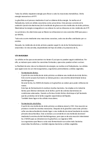 GLUCOLISIS.pdf