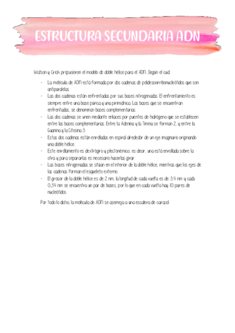 ESTRUCTURA-SECUNDARIA-ADN.pdf