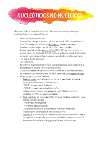 NUCLEOTIDOS-NO-NUCLEICOS.pdf