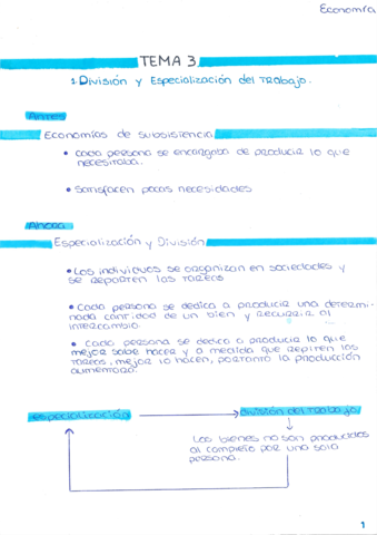 division-y-especializacion-del-trabajo-.pdf