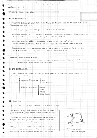 Tema-1.pdf