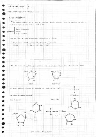 Tema-5.pdf