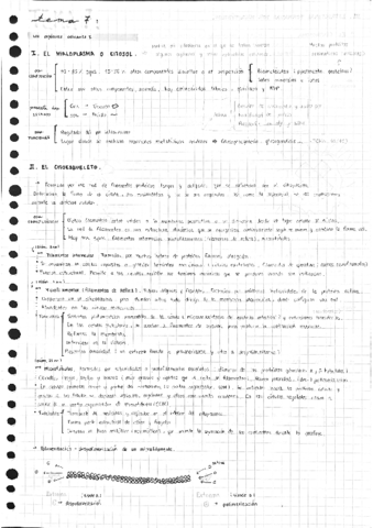 Tema-7.pdf