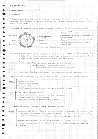 Tema-8.pdf