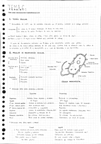 Tema-6.pdf