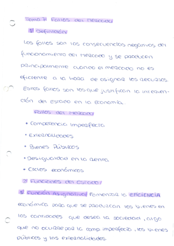 Fallos-del-mercado.pdf