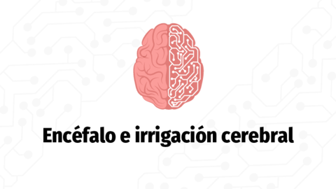 Encefalo-e-irrigacion-cerebral.pdf