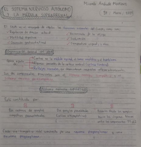 Resume-SNA-y-medula-espinal-Guyton.pdf