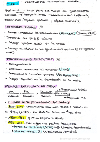 resumen-temas-a-mano.pdf