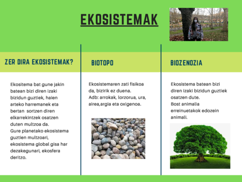 copia-conflictiva-Three-Column-Table-Concept-Map.pdf