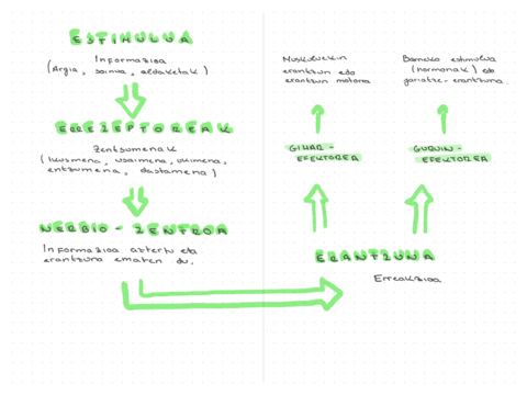 Essential-page-1.pdf