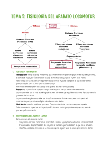 TEMA-5.pdf