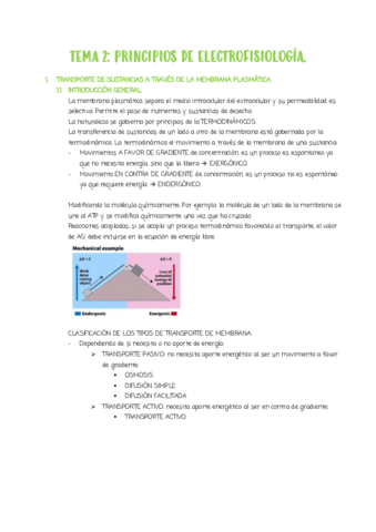 TEMA-2.pdf