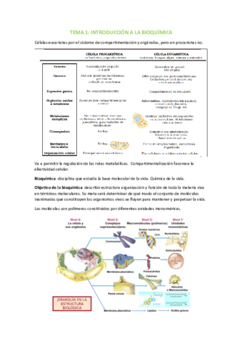 Tema-1.pdf