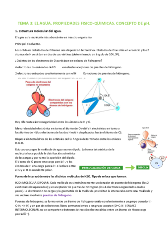 Tema-3-bioquimica.pdf