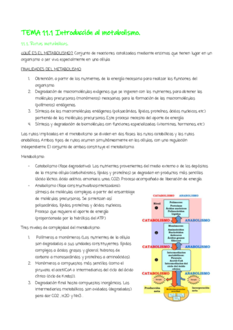 tema-11.pdf