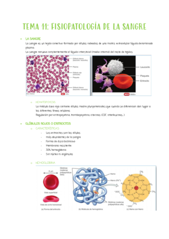 TEMA-11.pdf