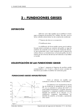 FUNDICIONES GRISES.pdf