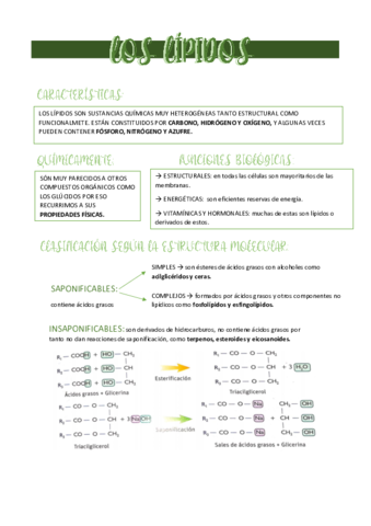 LIPIDOS.pdf