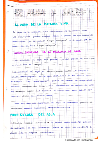 T.pdf