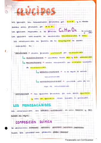 T.pdf