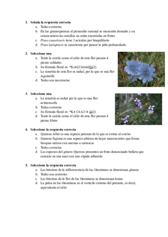 Preguntas-botanica-.pdf