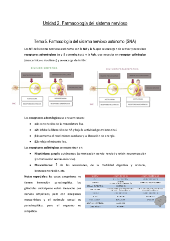 Unidad-2.pdf