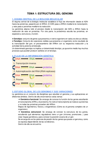 TEMA-1-ESTRUCTURA-DEL-GENOMA.pdf
