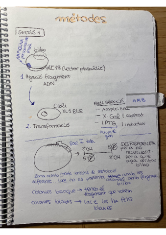 Miniatura del documento IMG6842-20-files-merged.pdf