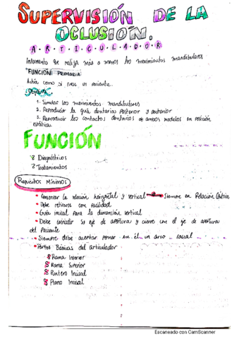 Supervision-de-la-Oclusion-Parte-2.pdf