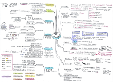 Miniatura del documento Tema-5-Aditivos-y-coadyuvantes.pdf