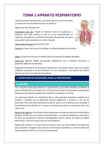 TODO-ORGANOGRAFIA-menos-masculino.pdf