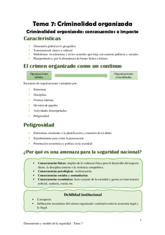 Tema-7-Criminalidad-organizada.pdf