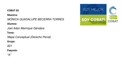 Mapa-Conceptual-Derecho-Penal-601.pdf
