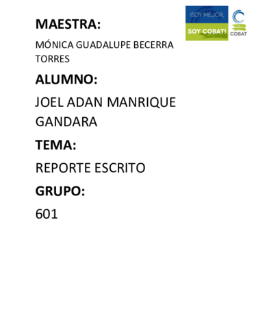 REPORTE-ESCRITO-HISTORIA.pdf