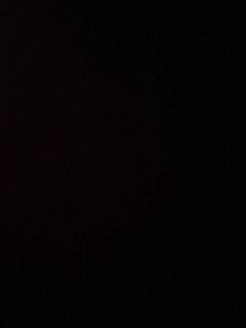 VID20210531035821.mp4