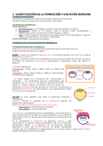 ESTUDIO-DE-LA-CAVIDAD-ORAL-TEMA-1.pdf